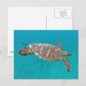 Hawaii Honu Turtle Postkarte (Vorne/Hinten)