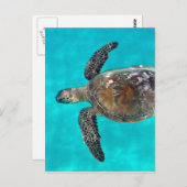 Hawaii Honu Turtle Postkarte (Vorne/Hinten)
