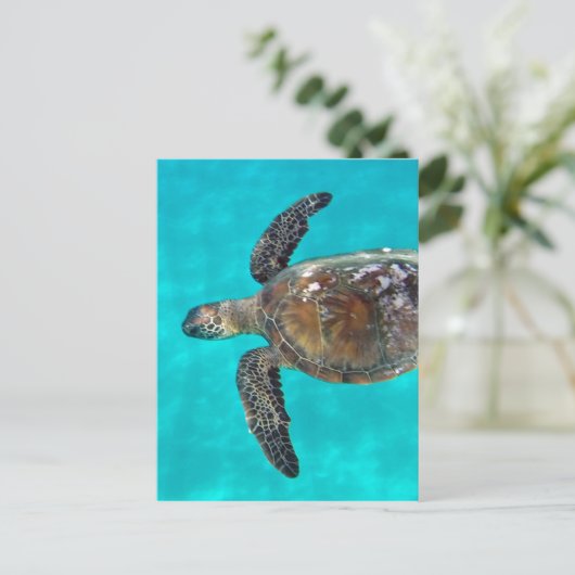 Hawaii Honu Turtle Postkarte (Stehend Vorderseite)