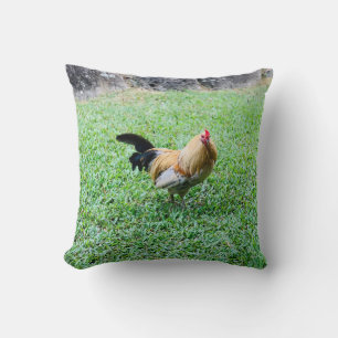 Hawaii-Huhn-Henne-Foto Kissen