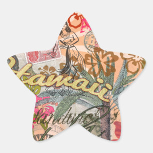 Hawaii Hula Reise Blumen Vintage Stern-Aufkleber