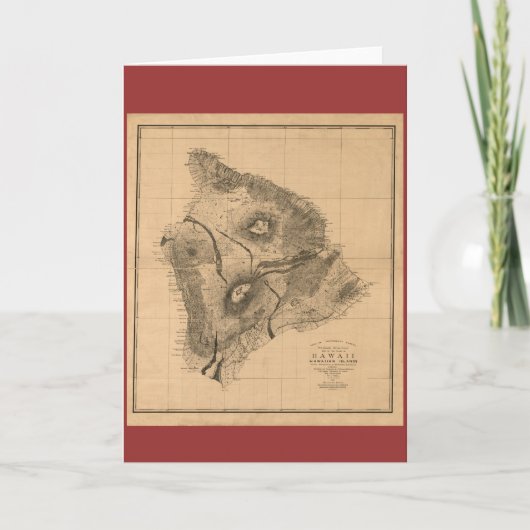 Hawaii-Insel, 1886, Vintage hawaiische Karte (Vorderseite)