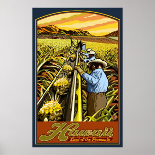 Hawaii-Inseln - Ananas-Ernteplakat Poster