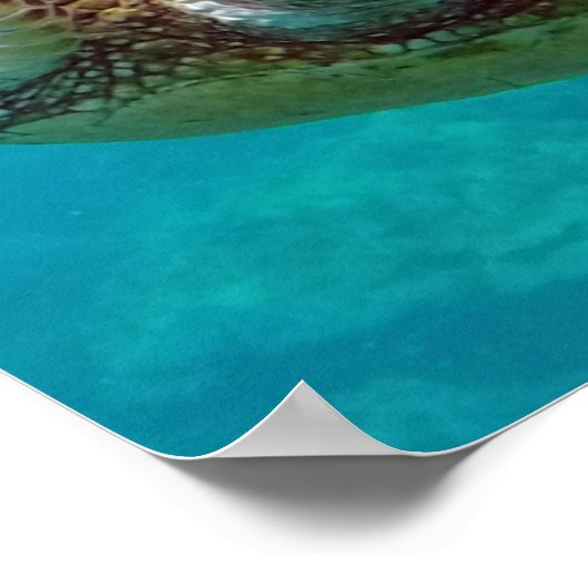 Hawaii-Inseln Poster (Ecke)