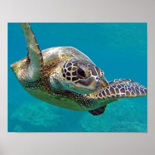 Hawaii-Inseln Poster (Vorne)