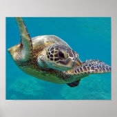 Hawaii-Inseln Poster (Vorne)