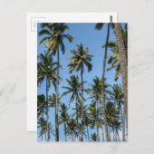 Hawaii Island Travel Exotic Beach Palm Trees Postkarte (Vorne/Hinten)