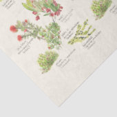 Hawai'i Island Volcano Pflanze Tissue Seidenpapier (Ausschnitt)