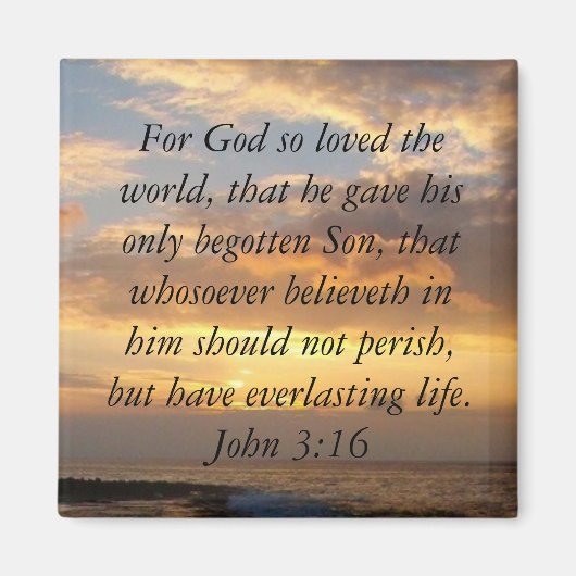 Hawaii John 3:16 Magnet (Vorne)