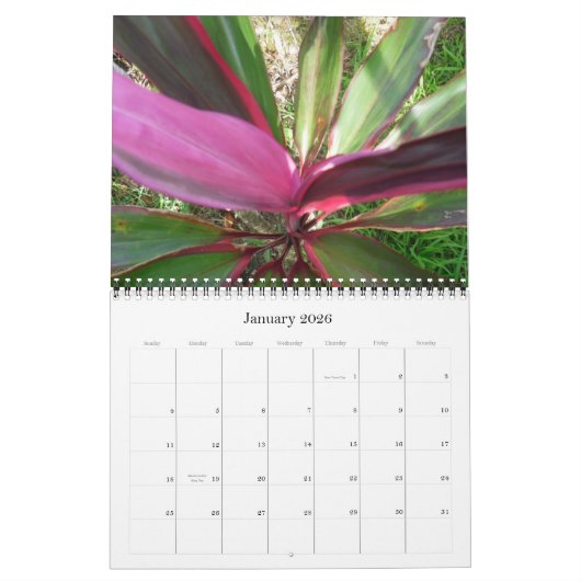Hawaii-Kalender 2010 Kalender (Jan 2026)