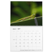 Hawaii-Kalender 2023 Kalender (Mär 2027)