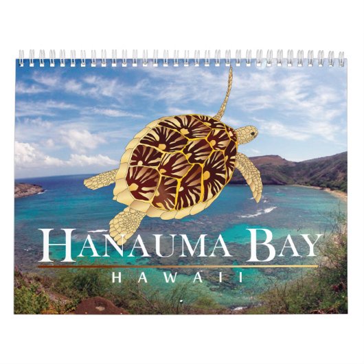 Hawaii-Kalender Kalender (Titelbild)