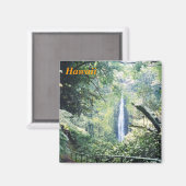 hawaii-Kühlschrankmagnet Magnet (Vorderseite/Rückseite)