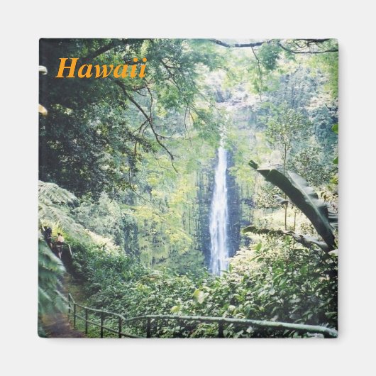 hawaii-Kühlschrankmagnet Magnet (Vorne)