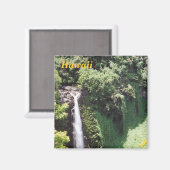 hawaii-Kühlschrankmagnet Magnet (Vorderseite/Rückseite)