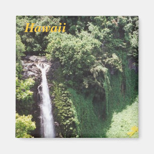 hawaii-Kühlschrankmagnet Magnet