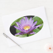 Hawaii Lotus Blume Ovaler Aufkleber (Umschlag)
