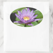 Hawaii Lotus Blume Ovaler Aufkleber (Tasche)