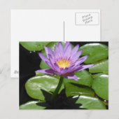 Hawaii Lotus Blume Postkarte (Vorne/Hinten)