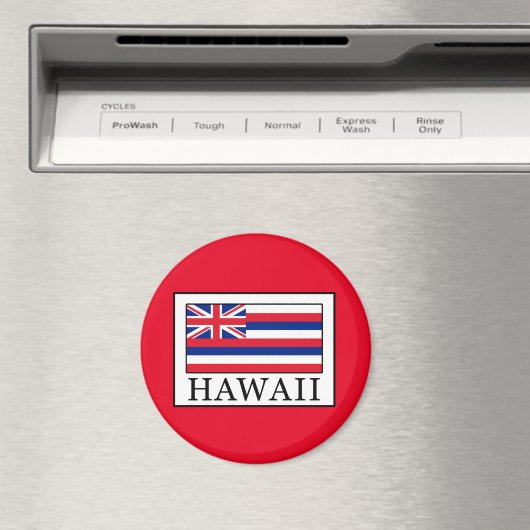 Hawaii Magnet (In Situ (Geschirrspüler))