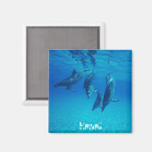 Hawaii Magnet (Vorderseite/Rückseite)