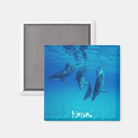 Hawaii Magnet (Vorderseite/Rückseite)