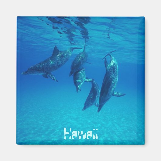 Hawaii Magnet (Vorne)