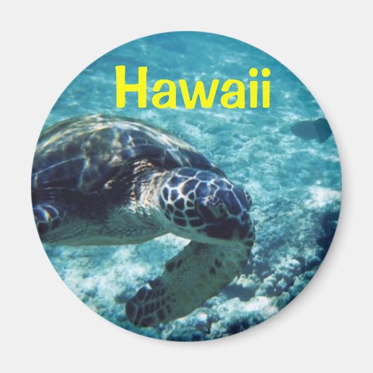 Hawaii-Magnet Magnet (Vorne)