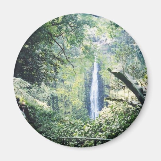 Hawaii-Magnet Magnet (Vorne)