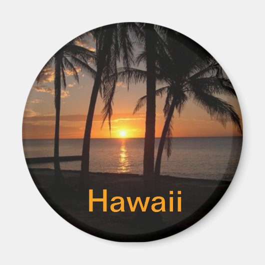 Hawaii-Magnet Magnet (Vorne)