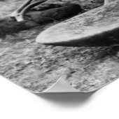 Hawaii - Man Pounding Taro macht Poi Poster (Ecke)