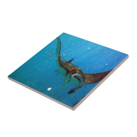 Hawaii Manta Ray Fliese (Seite)