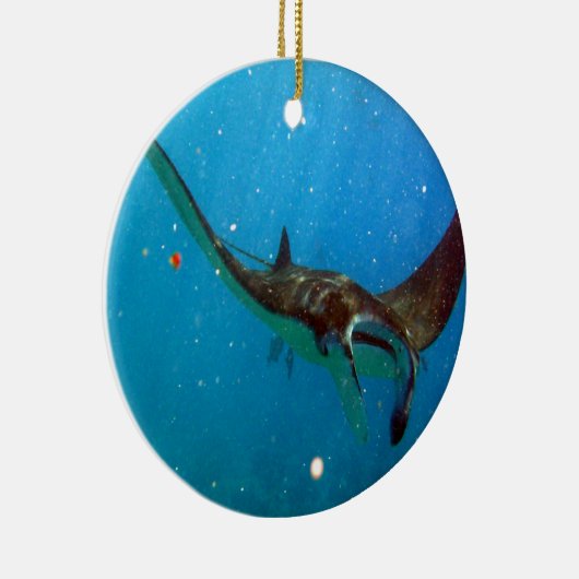 Hawaii Manta Ray Keramik Ornament (Rechts)