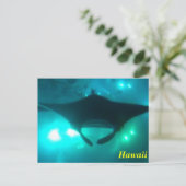 Hawaii Manta Ray Postkarte (Stehend Vorderseite)
