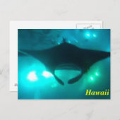 Hawaii Manta Ray Postkarte (Vorne/Hinten)