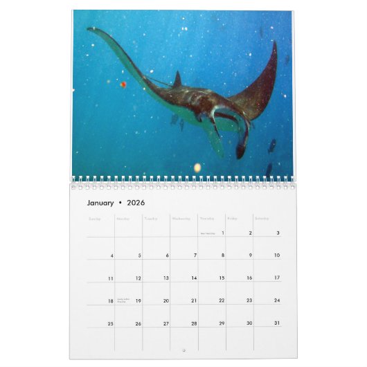 Hawaii-Mantarochen, -aale und -krake Kalender (Jan 2026)