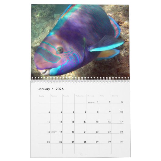 Hawaii Marine Life Calendar Kalender (Jan 2026)