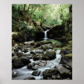 Hawaii, Maui Ein Wasserfall mündet in Blue Pool Poster (Vorne)