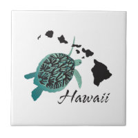 Hawaii-Meeresschildkröte