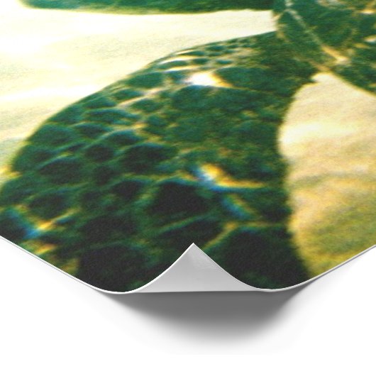 Hawaii-Meeresschildkrötenschutz Poster (Ecke)