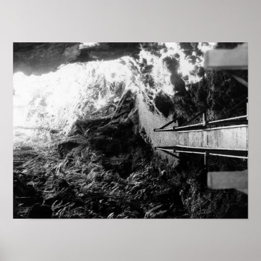 Hawaii Nationalpark, Blick auf eine Lava Tube Poster (Vorne)