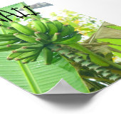 HAWAII NATUR POSTER (Ecke)