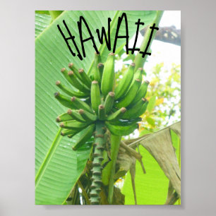 HAWAII NATUR POSTER