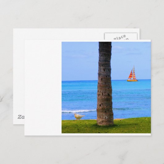 Hawaii Nature Postkarte (Vorne/Hinten)