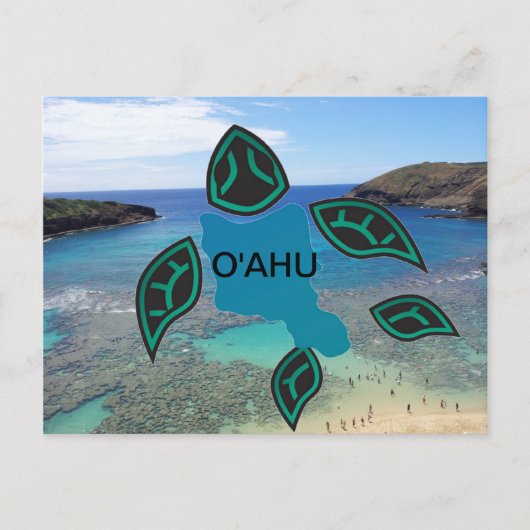 Hawaii Oahu Island Turtle Postkarte (Vorderseite)