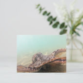 Hawaii Octopus Postkarte (Stehend Vorderseite)