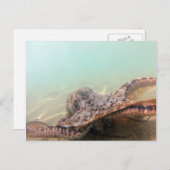 Hawaii Octopus Postkarte (Vorne/Hinten)