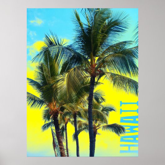 Hawaii Palm Poster (Vorne)