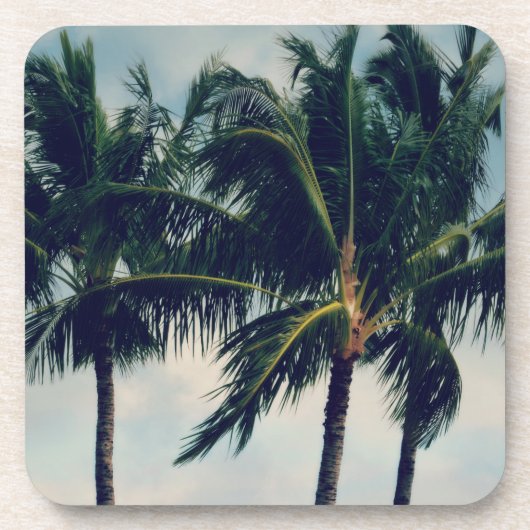 Hawaii Palm Trees Getränkeuntersetzer (Vorderseite)
