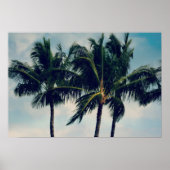 Hawaii Palm Trees Poster (Vorne)